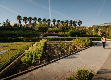 Parque Central Valencia